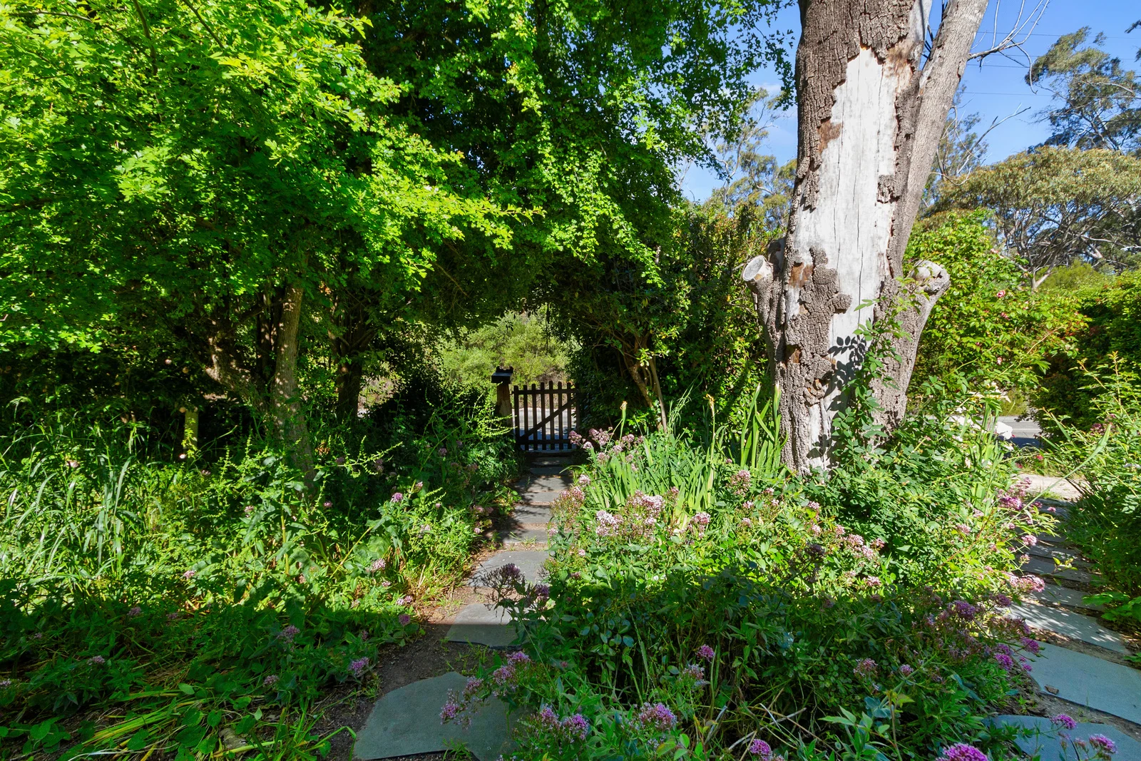 Additional image 5 of 7831 Horrocks Highway, Penwortham SA 5453