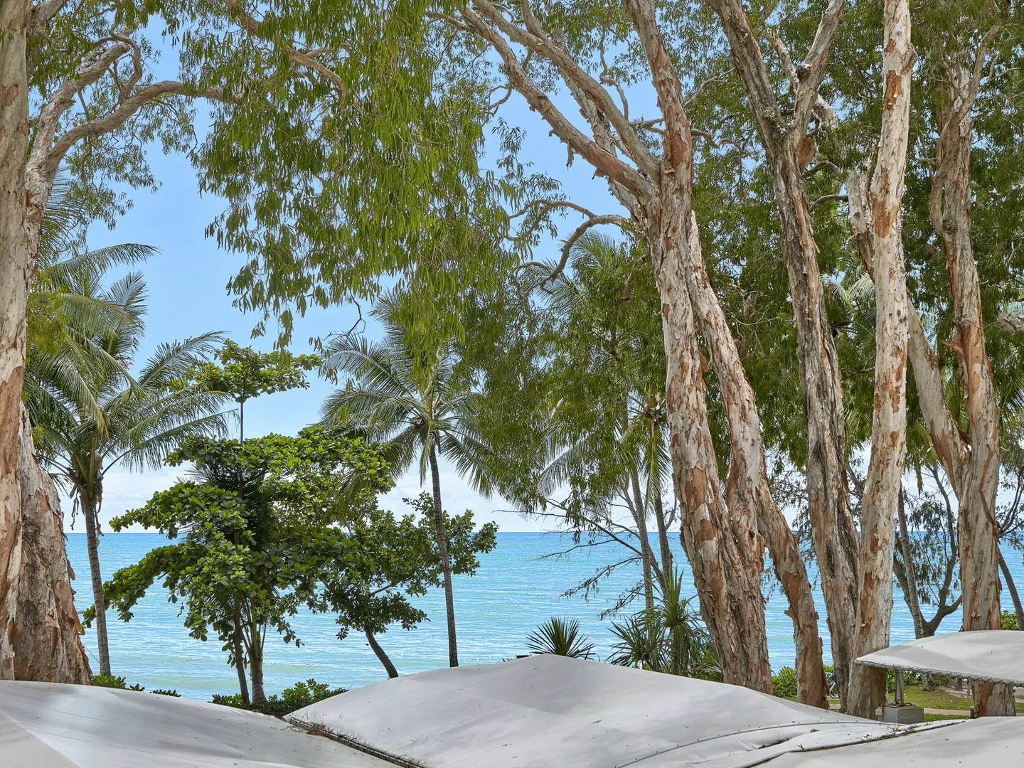 Additional image 3 of 1221-1222/123-127 Williams Esplanade, Palm Cove QLD 4879