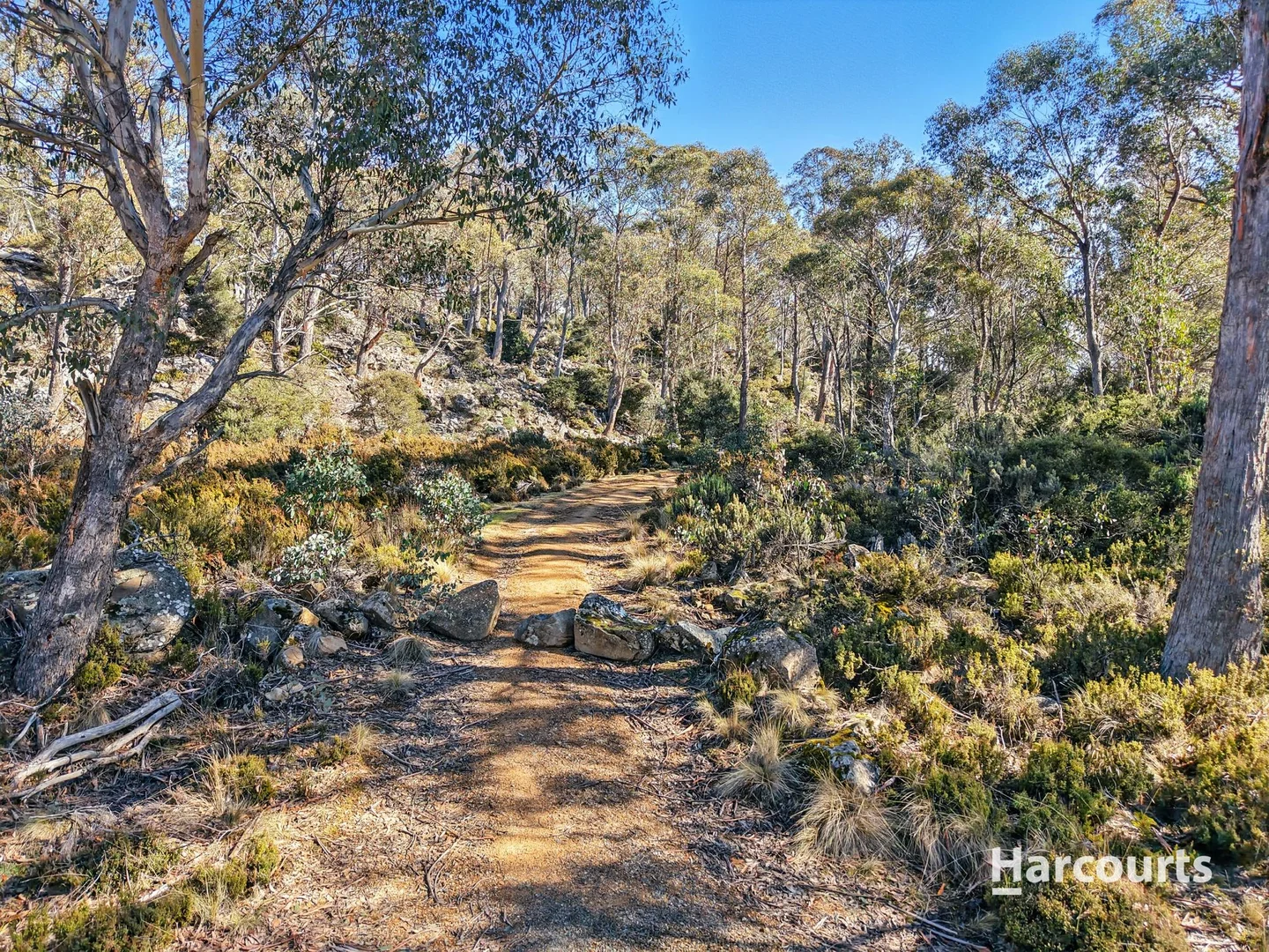 Additional image 9 of Lots 808, 809 & 810 Johnsons Road, Miena TAS 7030