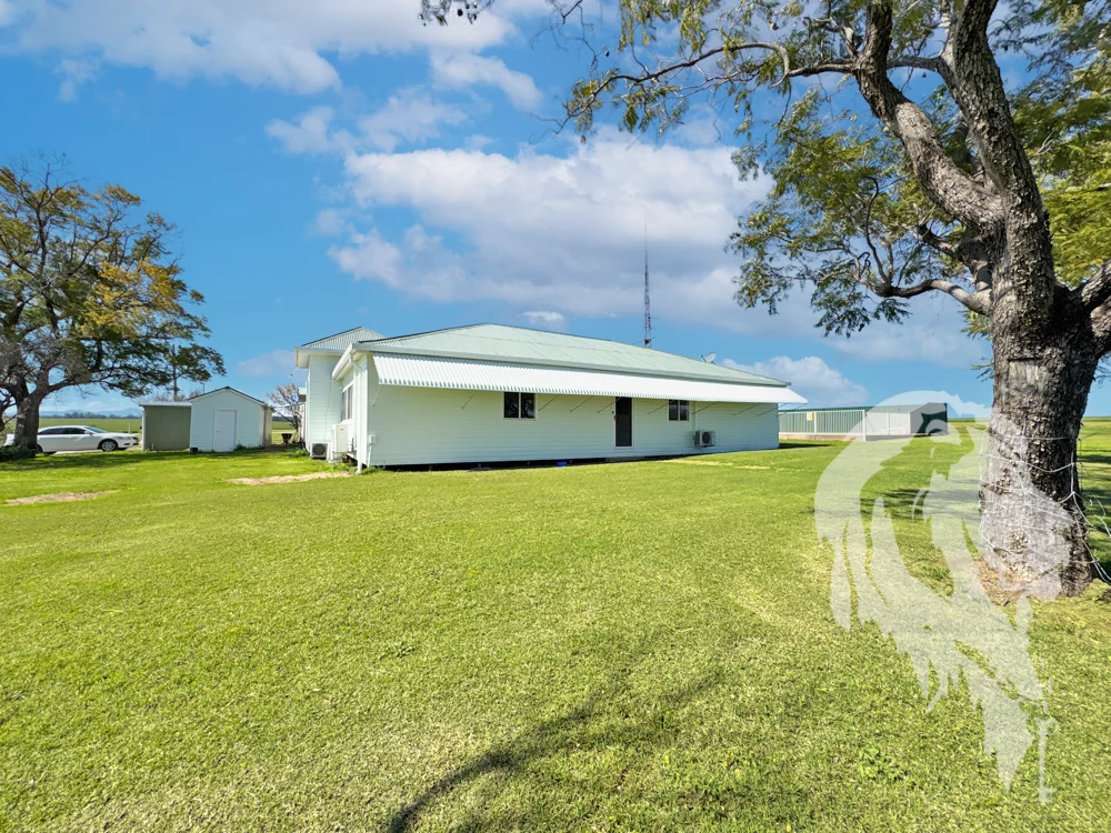 Additional image 26 of 13012 Newell Highway, Narrabri NSW 2390