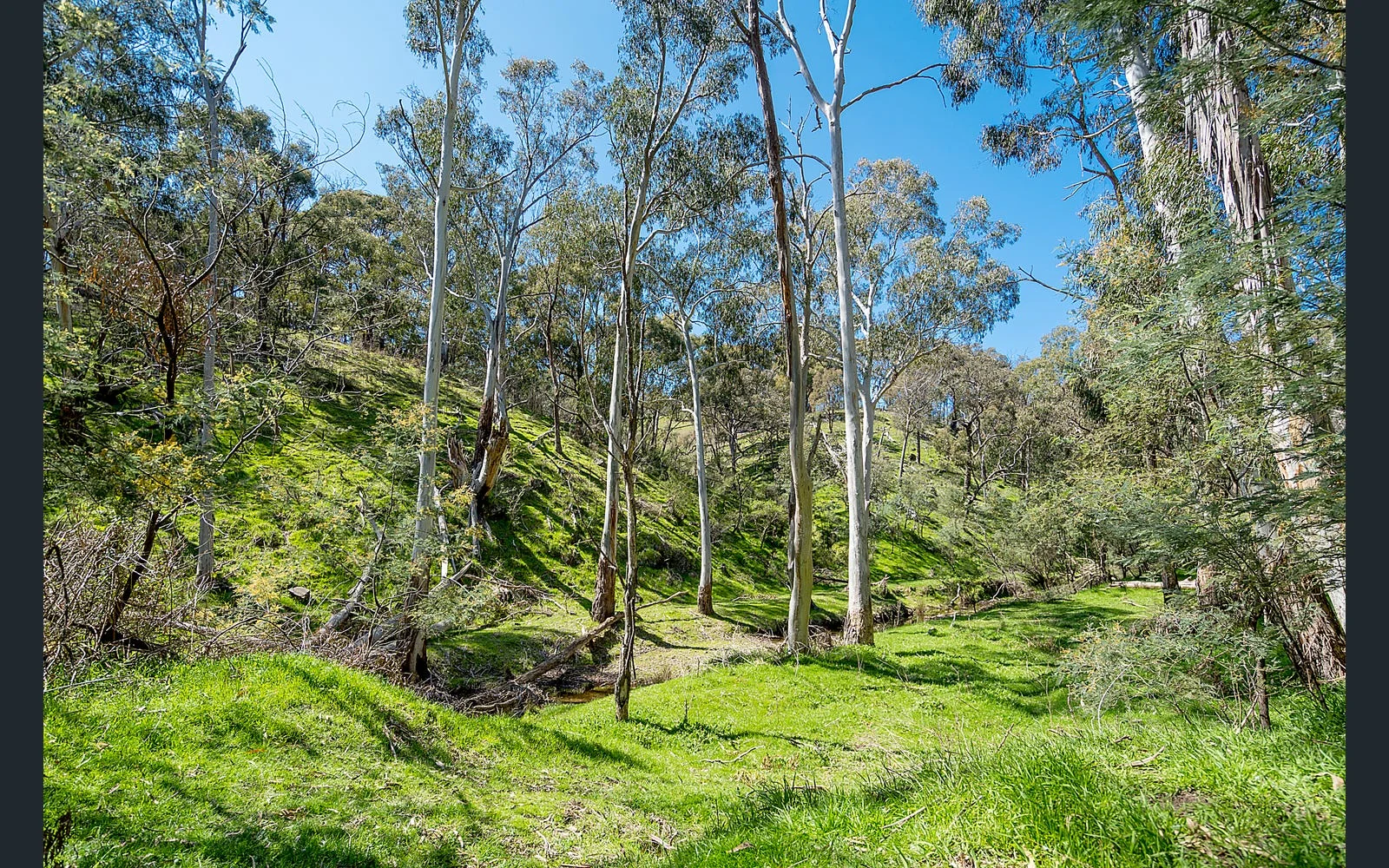 Additional image 9 of 21 Doyle Street, Reedy Creek VIC 3658