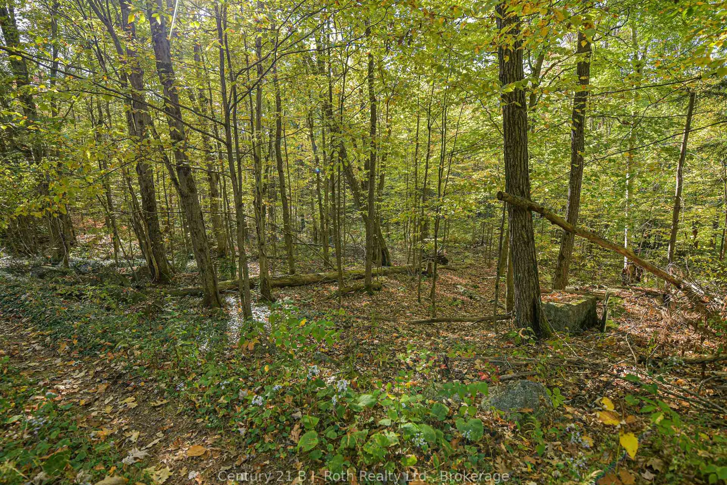 Additional image 14 of 1112 Sam Cook Road 2