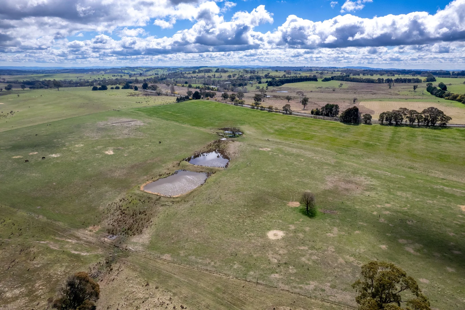 Additional image 20 of 6906 Boorowa Road, Lost River NSW 2583