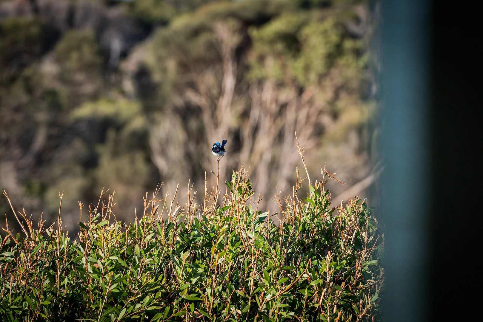 Additional image 16 of 525 Killiecrankie Road, Killiecrankie TAS 7255