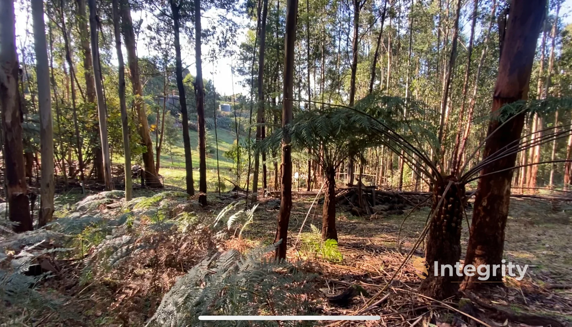 Additional image 14 of 47 Bald Spur Road, Kinglake VIC 3763
