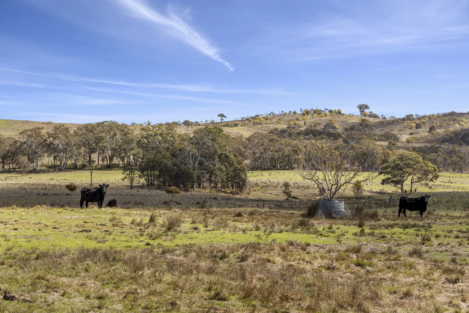 Additional image 4 of 512 Dicks Creek Road, Nanima NSW 2582