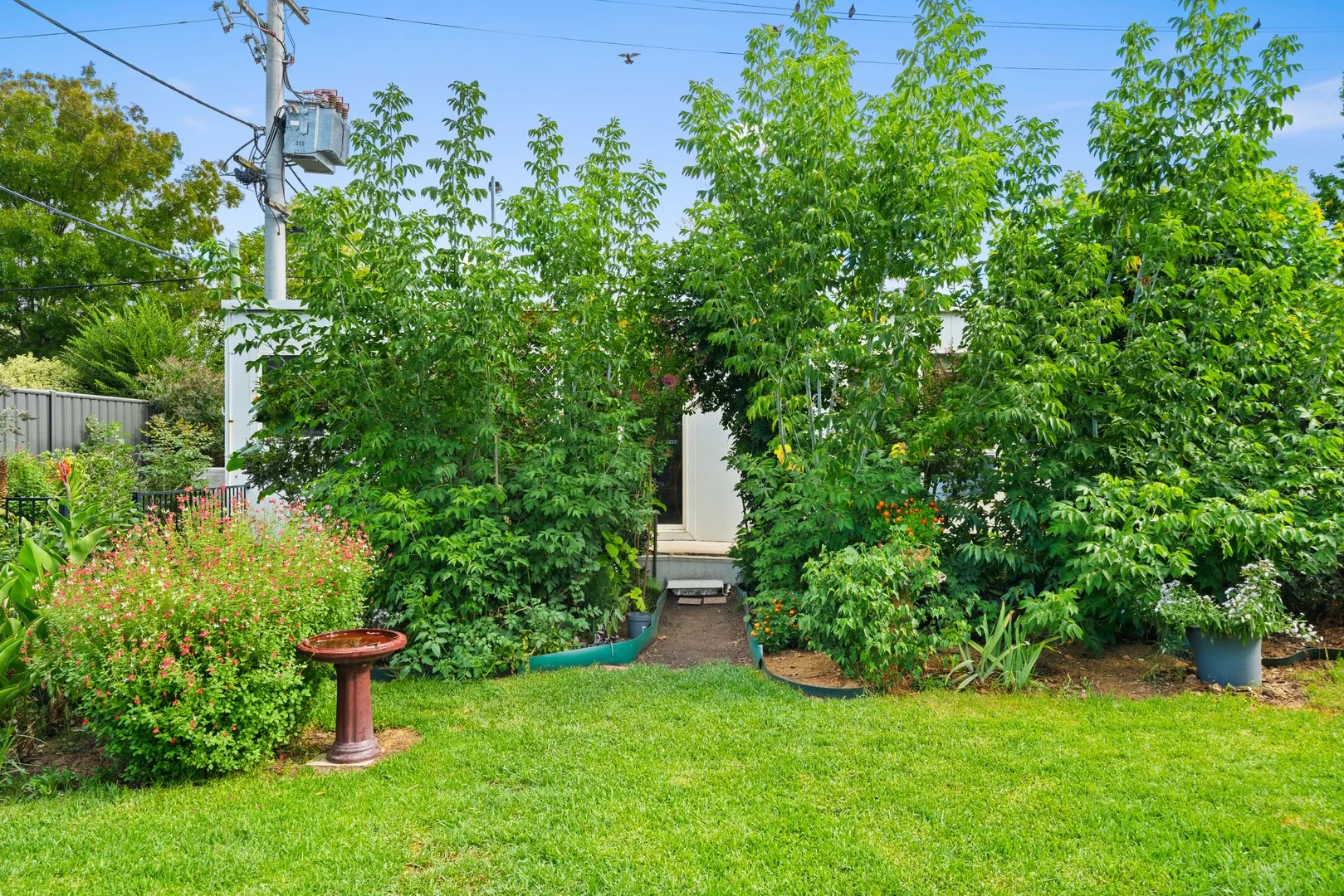 Additional image 32 of 19 Arunta Street, Narrabundah ACT 2604