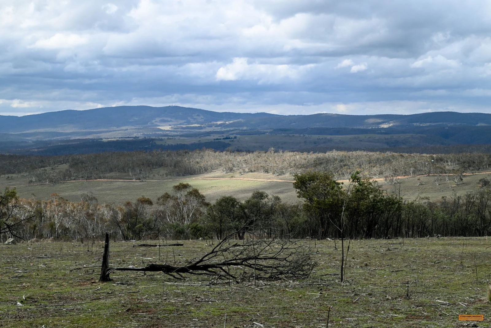 Additional image 23 of "Eagle Heights" 636 Caddigat Road, Dry Plain NSW 2630