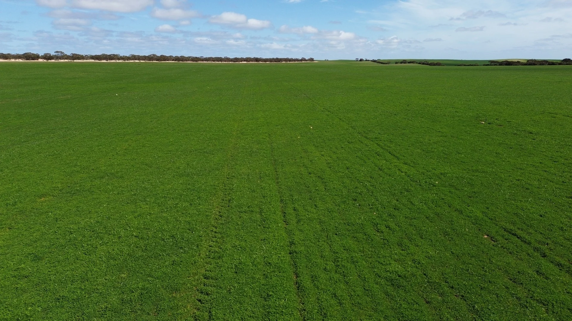 Lot 2 Palabie Road, Wudinna SA 5652