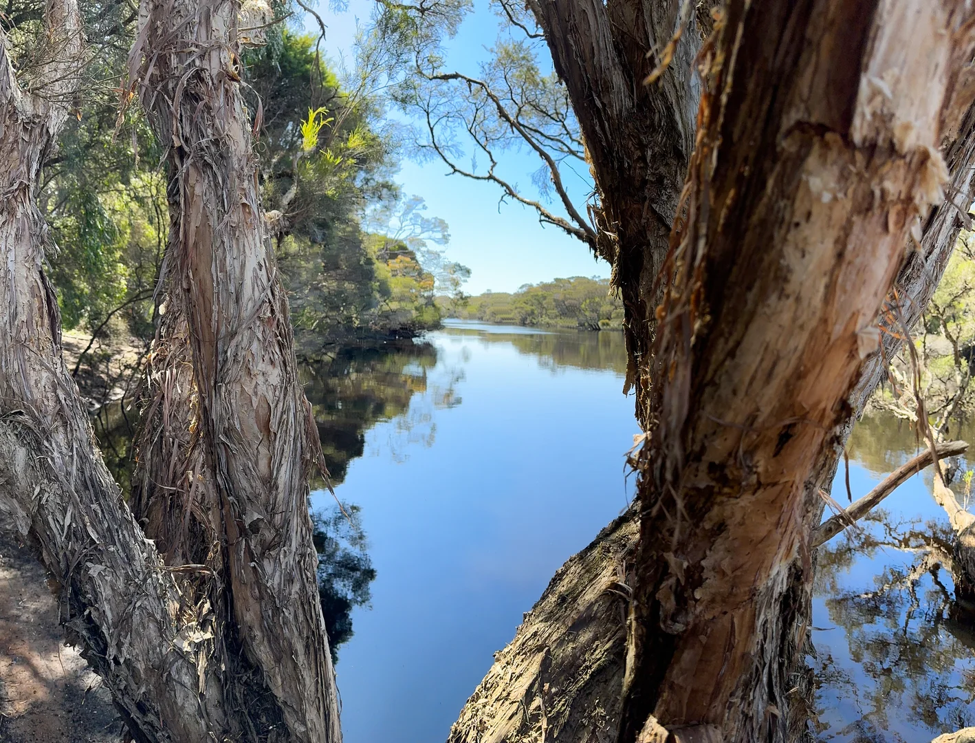Additional image 3 of 1 & 1181 Scott River Road, Scott River WA 6288