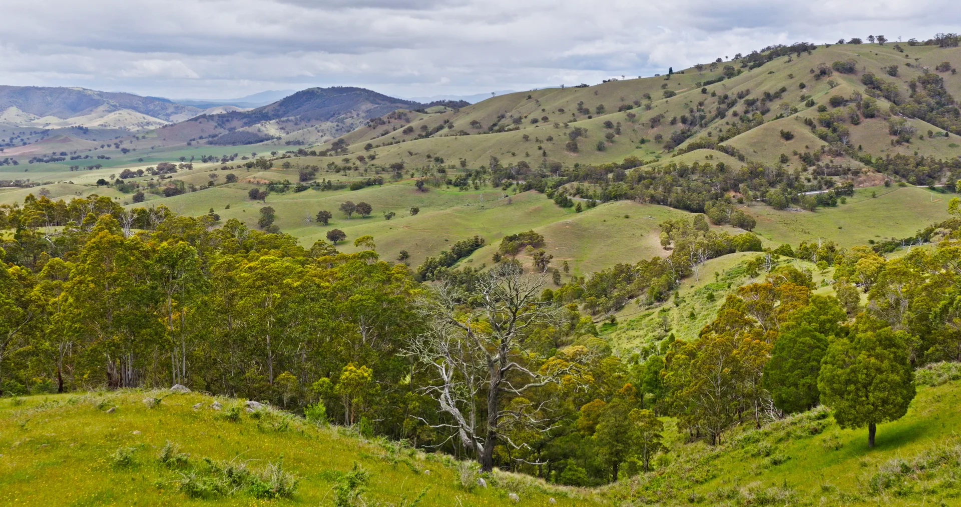 Additional image 17 of Lot 3 - 289 Tongio Gap Road, Tongio VIC 3896