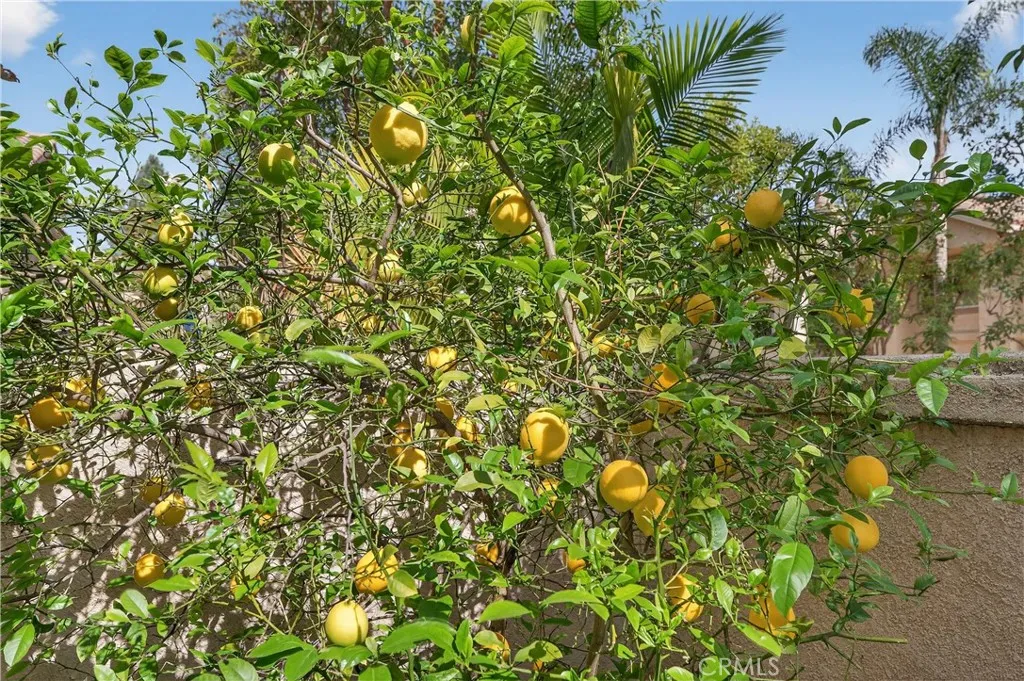 Additional image 96 of 1 Encantado Canyon Cyn, Rancho Santa Margarita, CA 92688