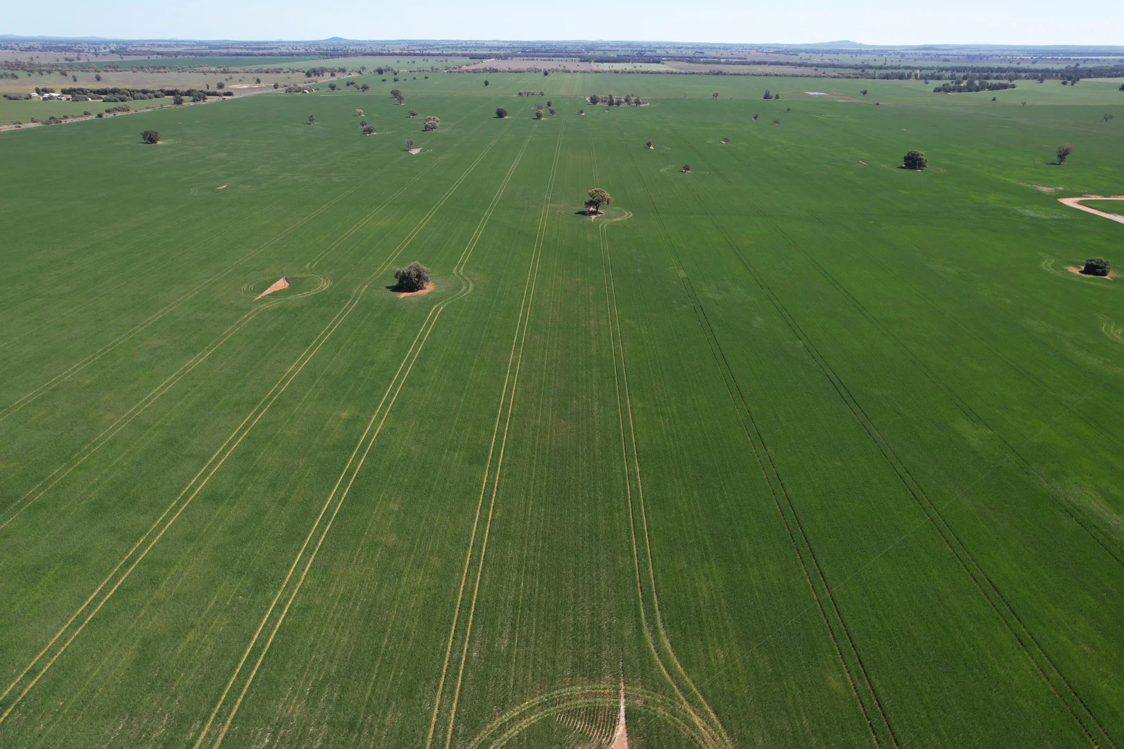 Additional image 6 of 2190 Yarrabandai Road, Trundle NSW 2875