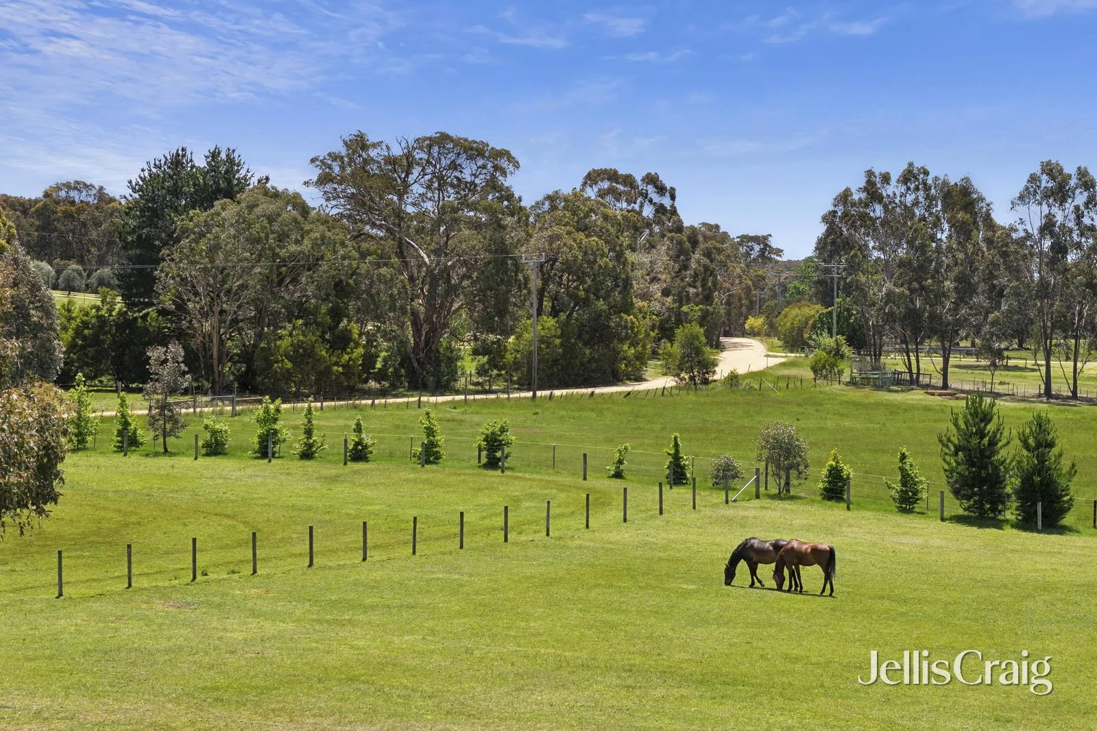 Additional image 24 of 321 Old Drummond Road, Taradale VIC 3447