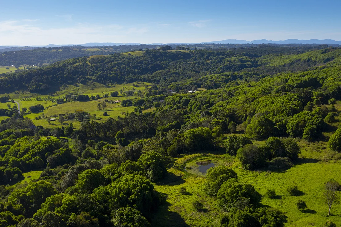 Additional image 26 of Dalwood NSW 2477