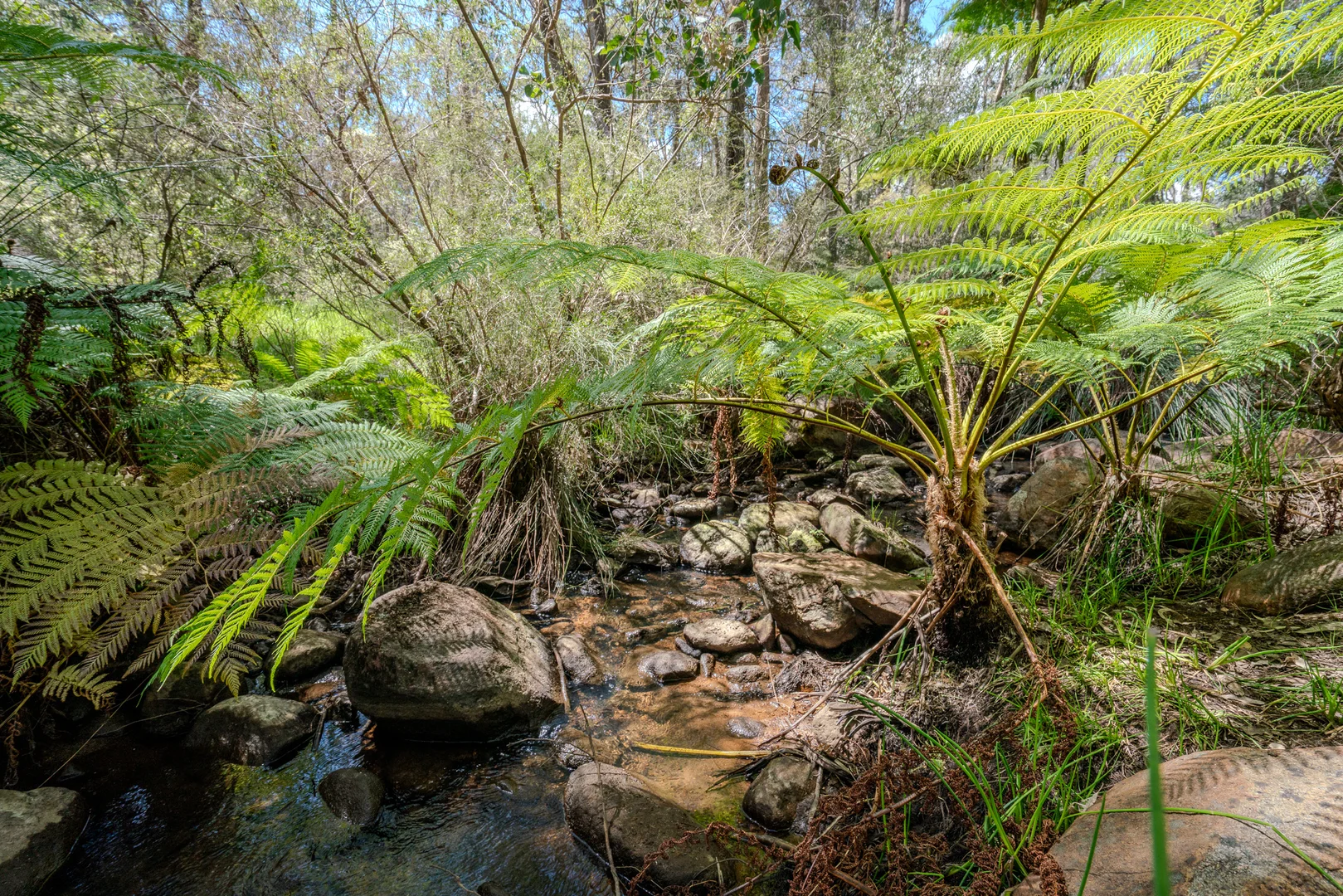 Additional image 5 of North Dandalup WA 6207