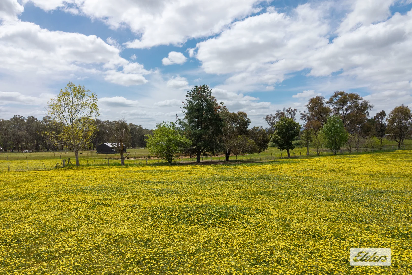 Additional image 11 of 152 Margaret Street, Gerogery NSW 2642