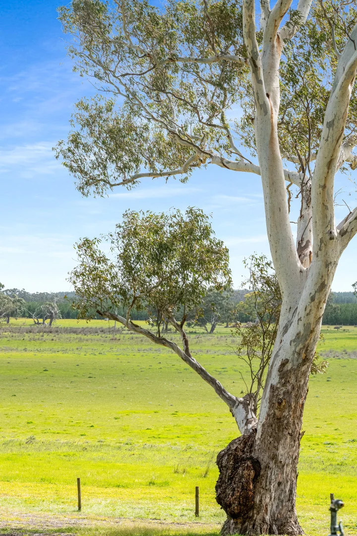 Additional image 34 of 1242 Old Comaum Rd, Coonawarra SA 5263