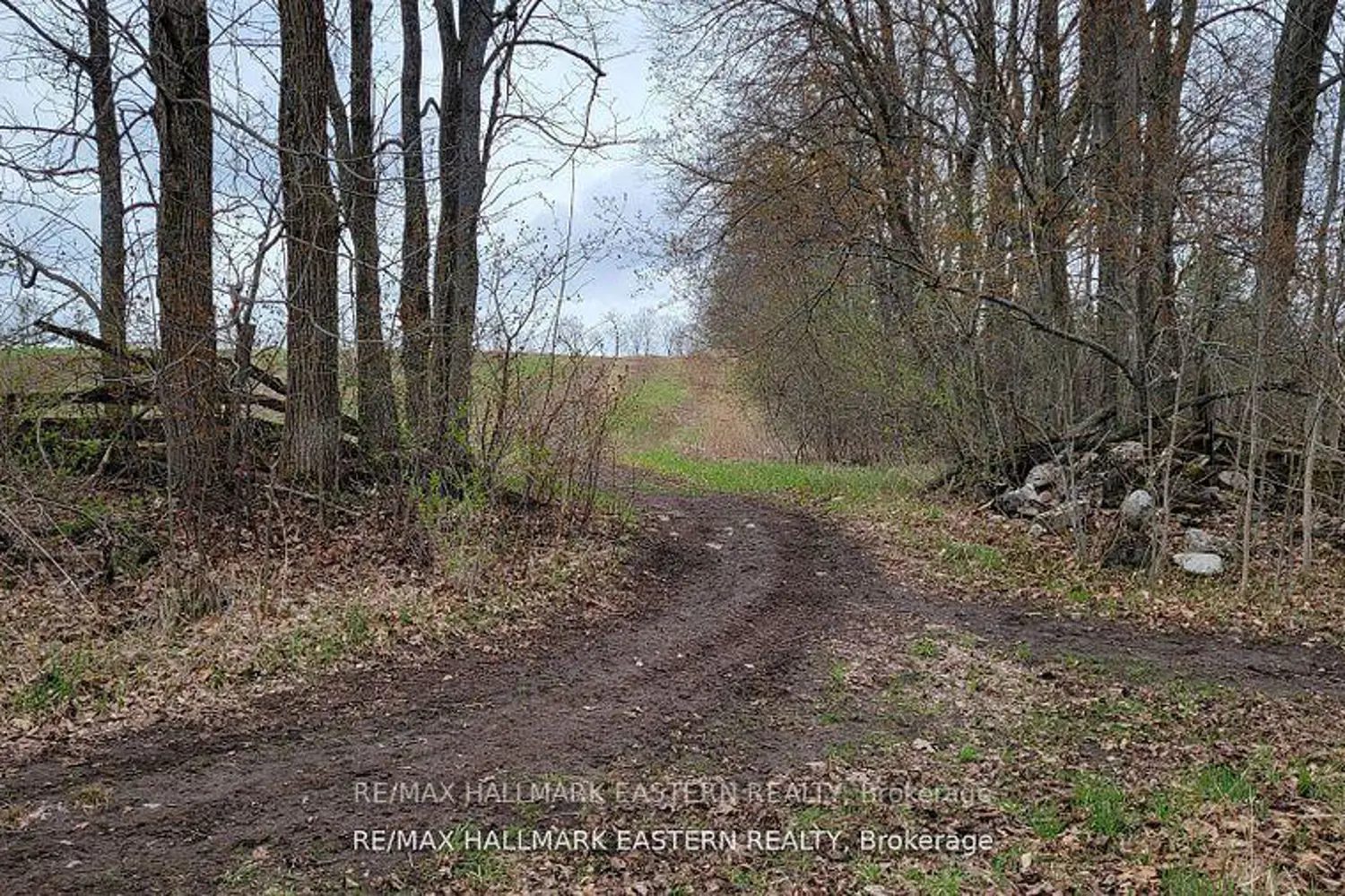 Additional image 14 of 1737 Thirteenth Line