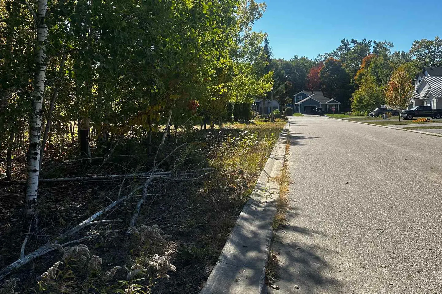 Additional image 2 of 23 Freeland Drive