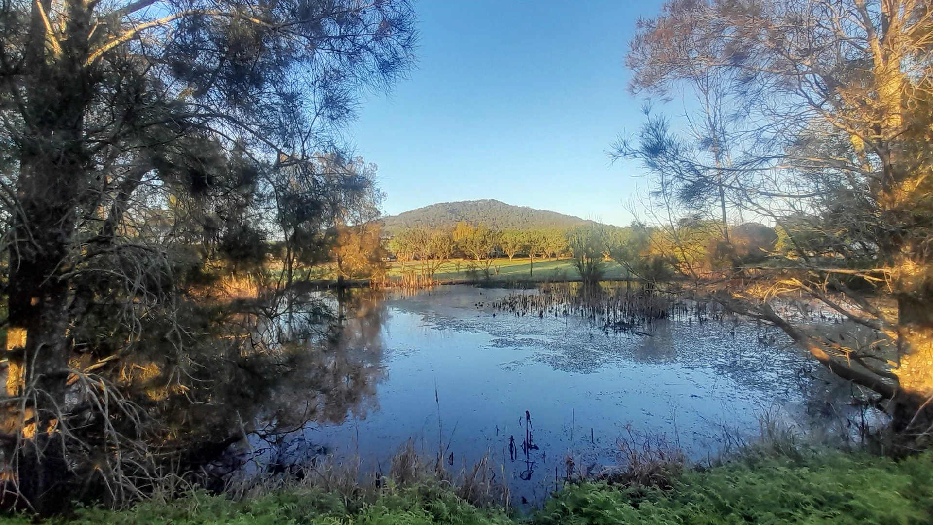 Additional image 14 of 16 Coolangatta Road, Coolangatta NSW 2535