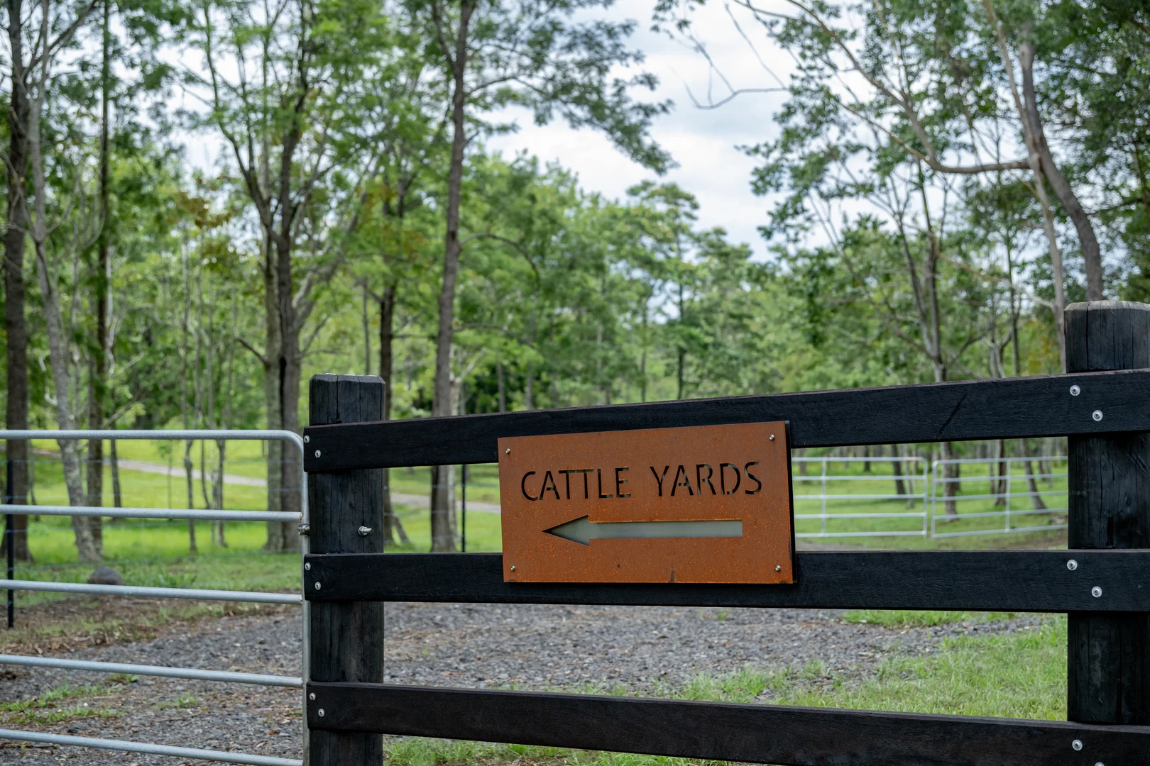 Additional image 16 of 239 Parsons Road, Coondoo QLD 4570