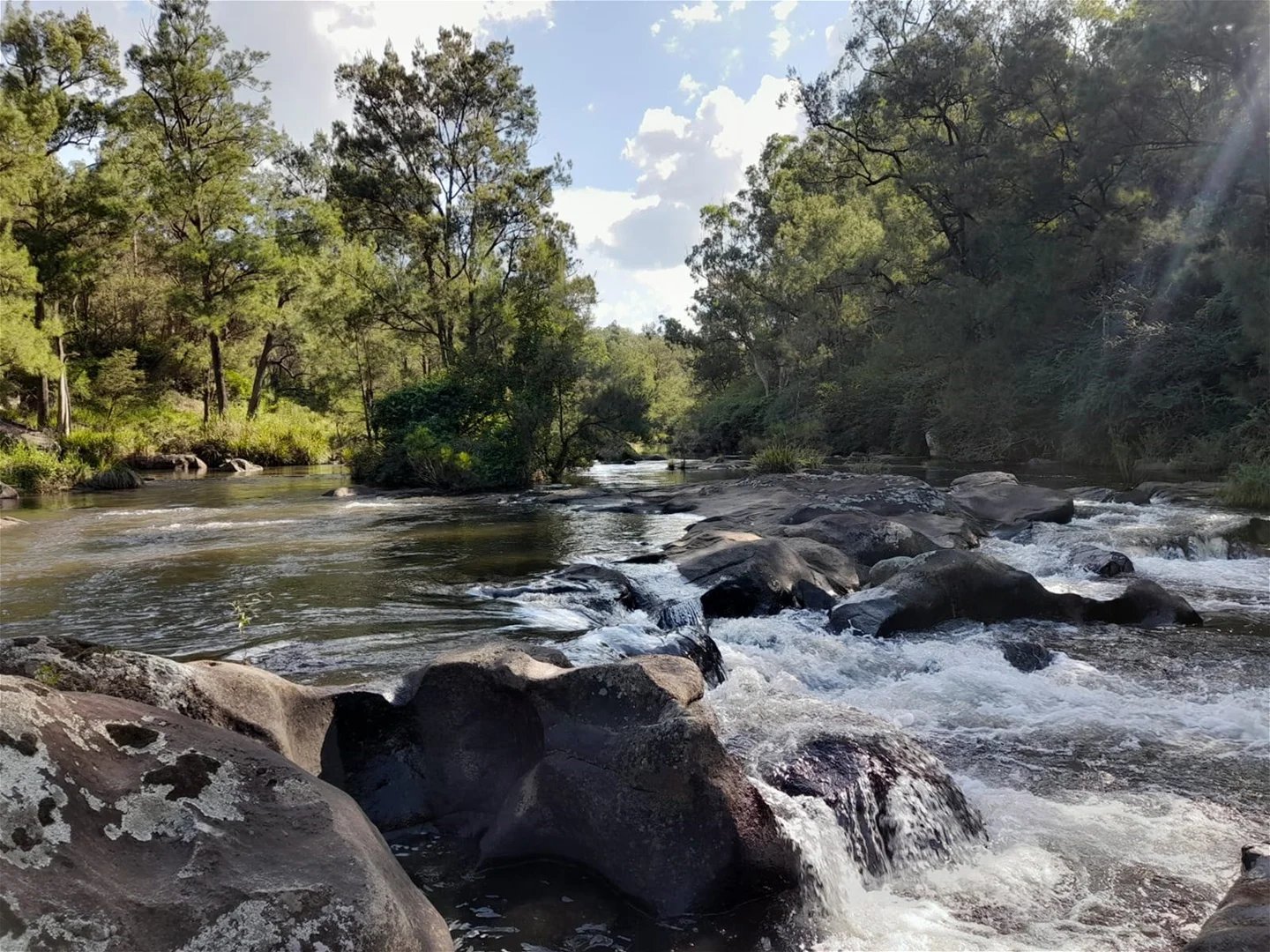 Additional image 34 of Dorrigo NSW 2453