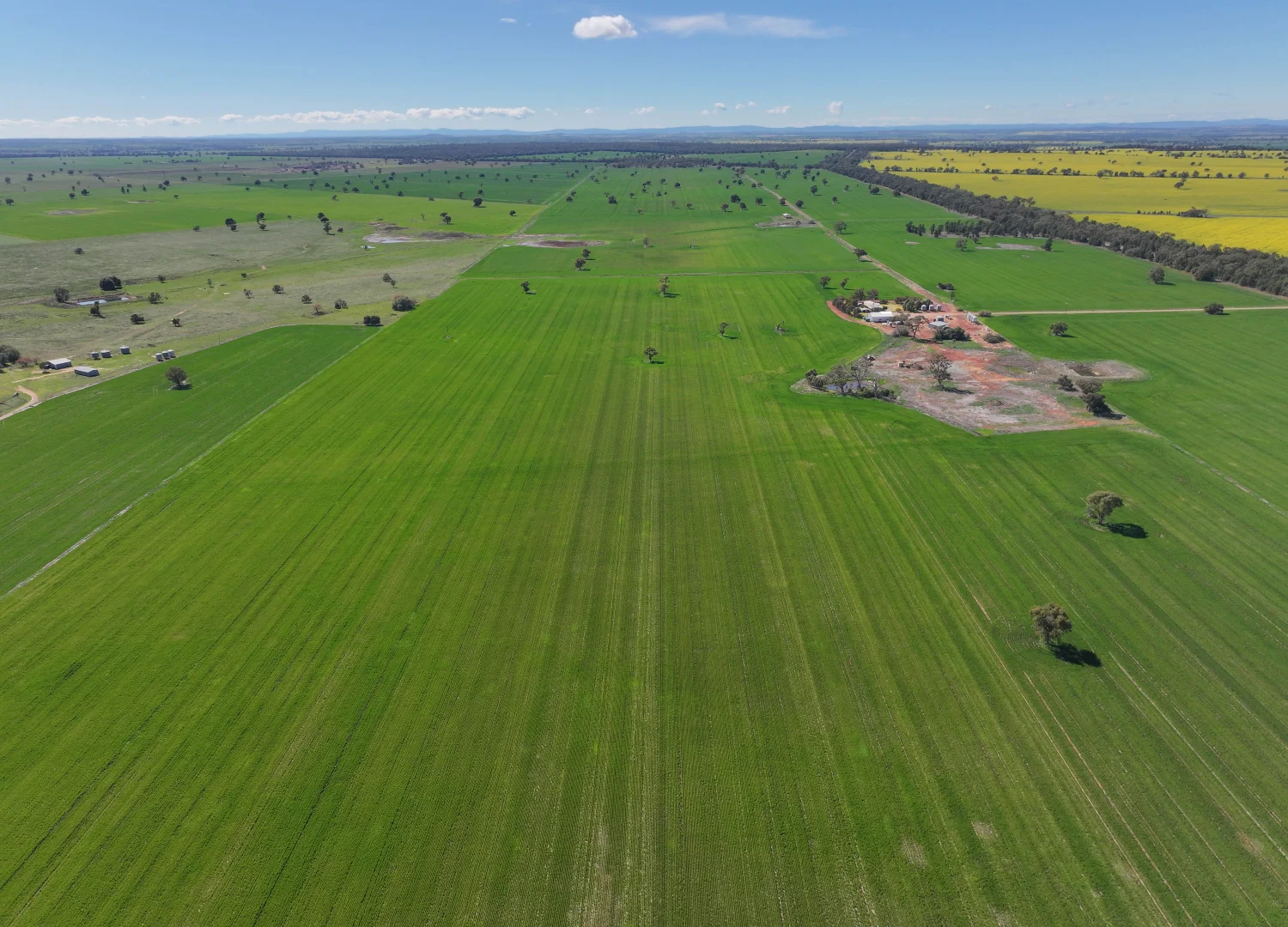 Additional image 21 of 2666 Henry Parkes Way, Gunningbland NSW 2876