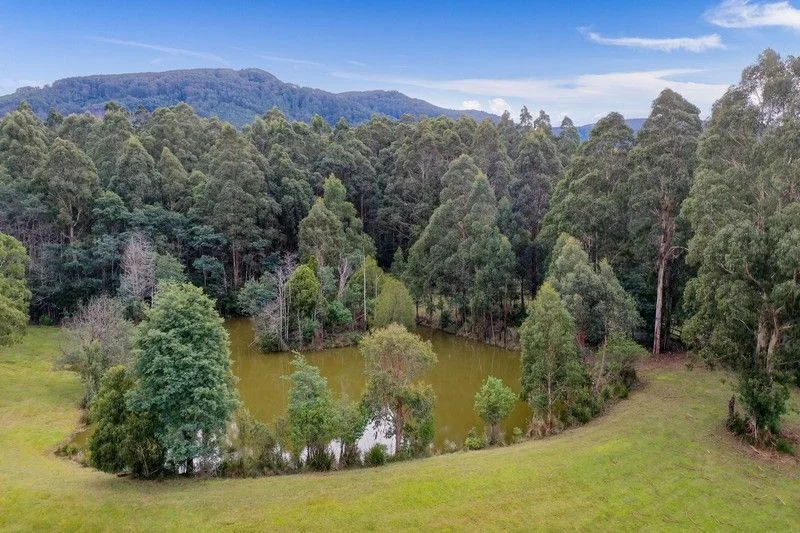 Additional image 16 of 2/2260 Mt Baw Baw Tourist Road, Icy Creek VIC 3833