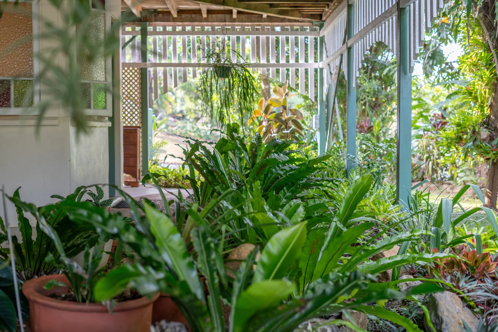 Additional image 29 of 6 Timana Tce, Wongaling Beach QLD 4852