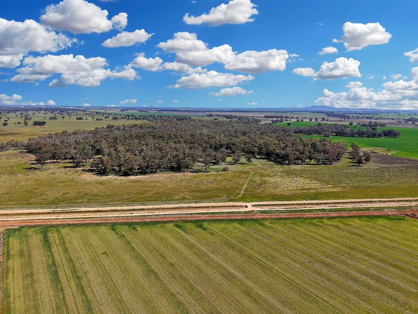 Additional image 11 of 4005 Lachlan Valley Way, Forbes NSW 2871