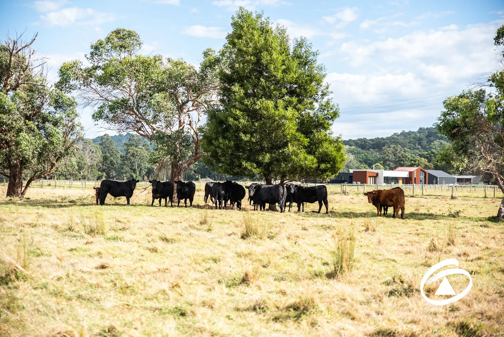 Additional image 5 of 425 Toomuc Valley Road, Pakenham VIC 3810