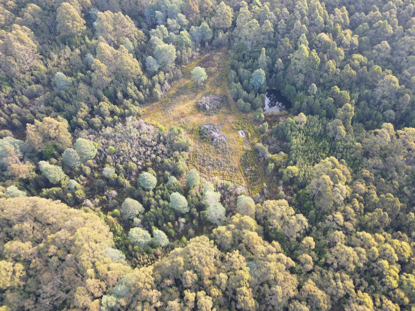 Additional image 11 of 405 Woodbridge Hill Road, Woodbridge TAS 7162