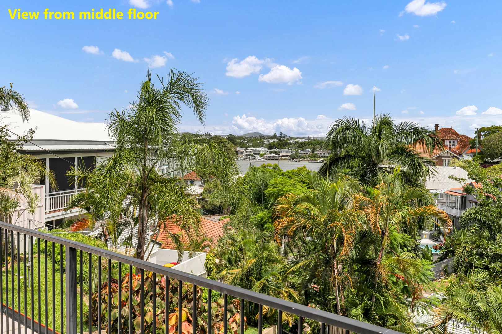 Additional image 5 of 17 Arran Avenue, Hamilton QLD 4007