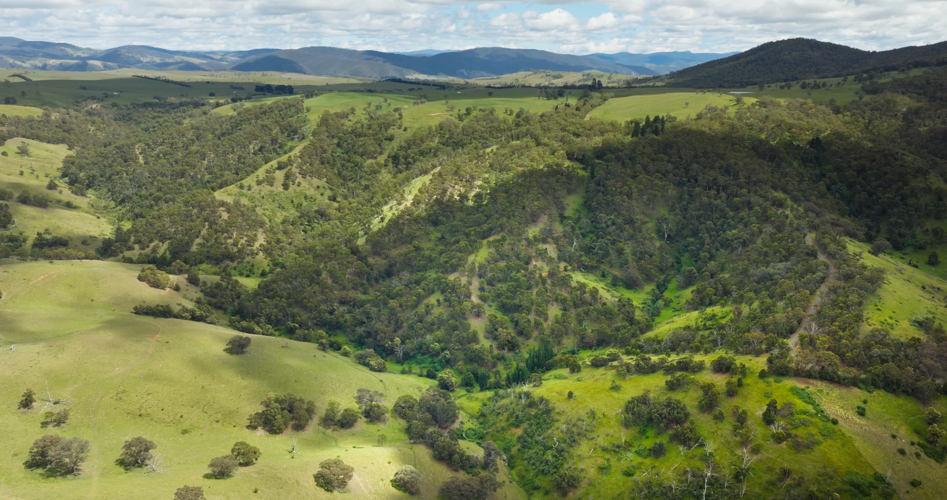 Additional image 10 of Lot 3 - 289 Tongio Gap Road, Tongio VIC 3896