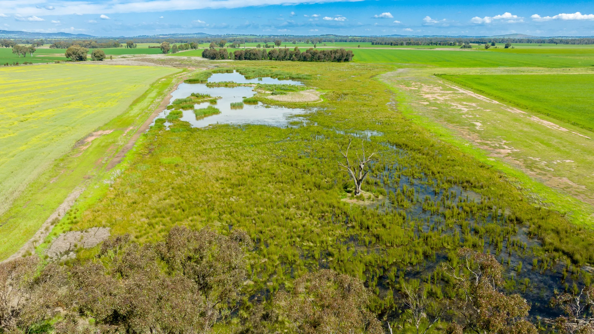 Additional image 6 of 'Arden Vale' Walbundrie Road, Walla Walla NSW 2659