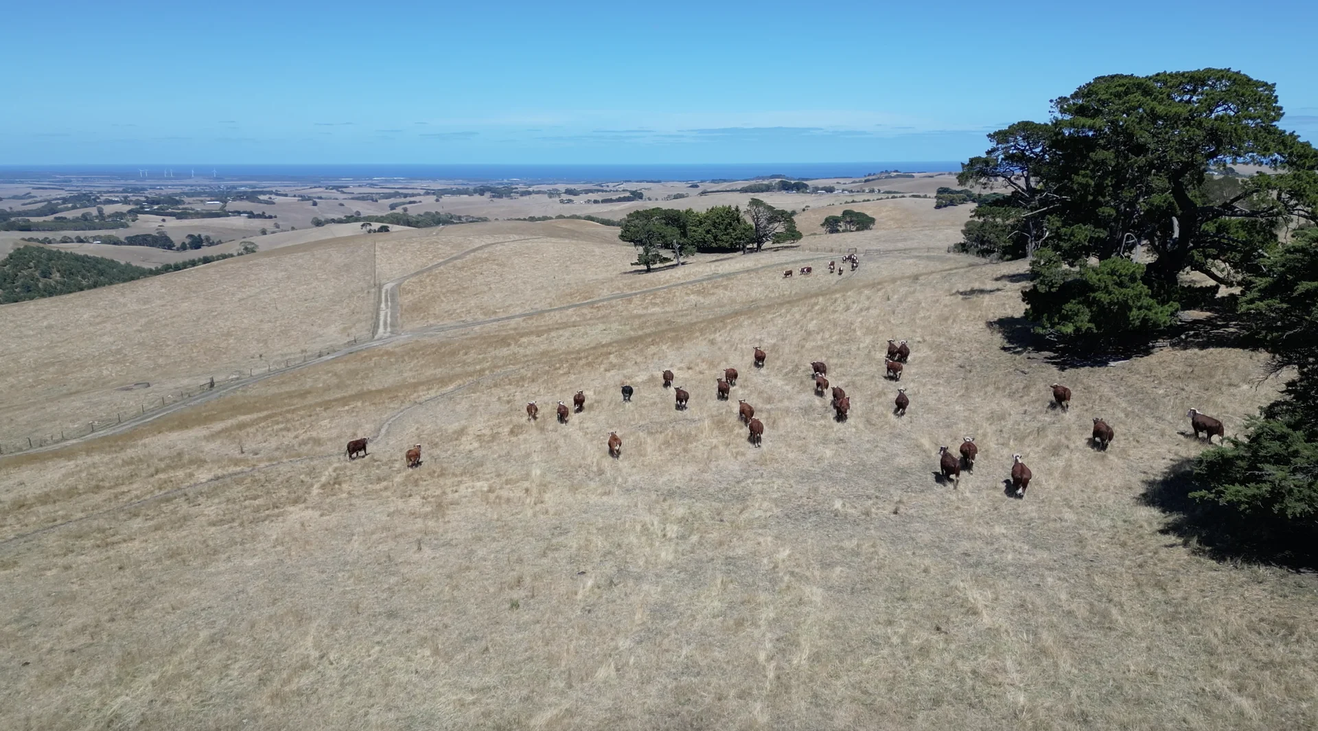 Additional image 26 of 65 McDowell Road, Ryanston VIC 3992