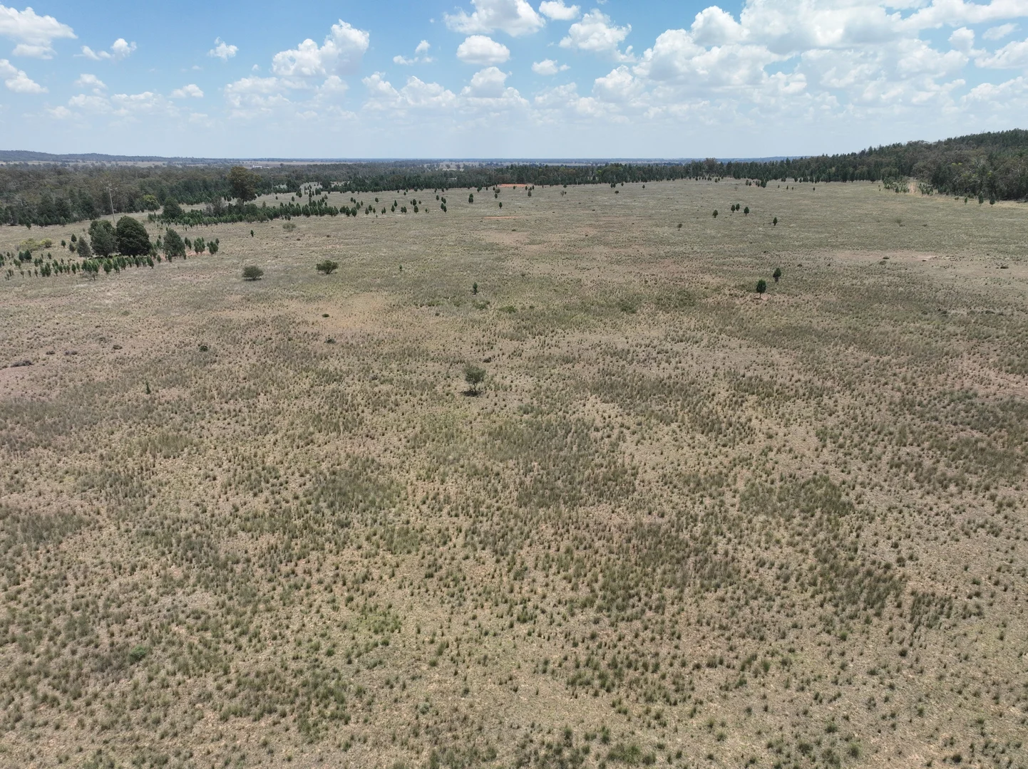 Additional image 6 of 'Illapa' 238L Narromine Road, Dubbo NSW 2830