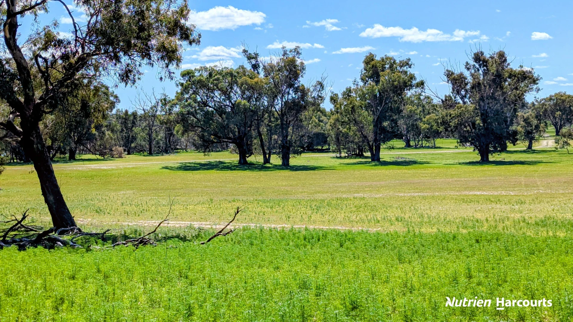 Additional image 19 of Lot 53 Cowalla Road, Cowalla WA 6503