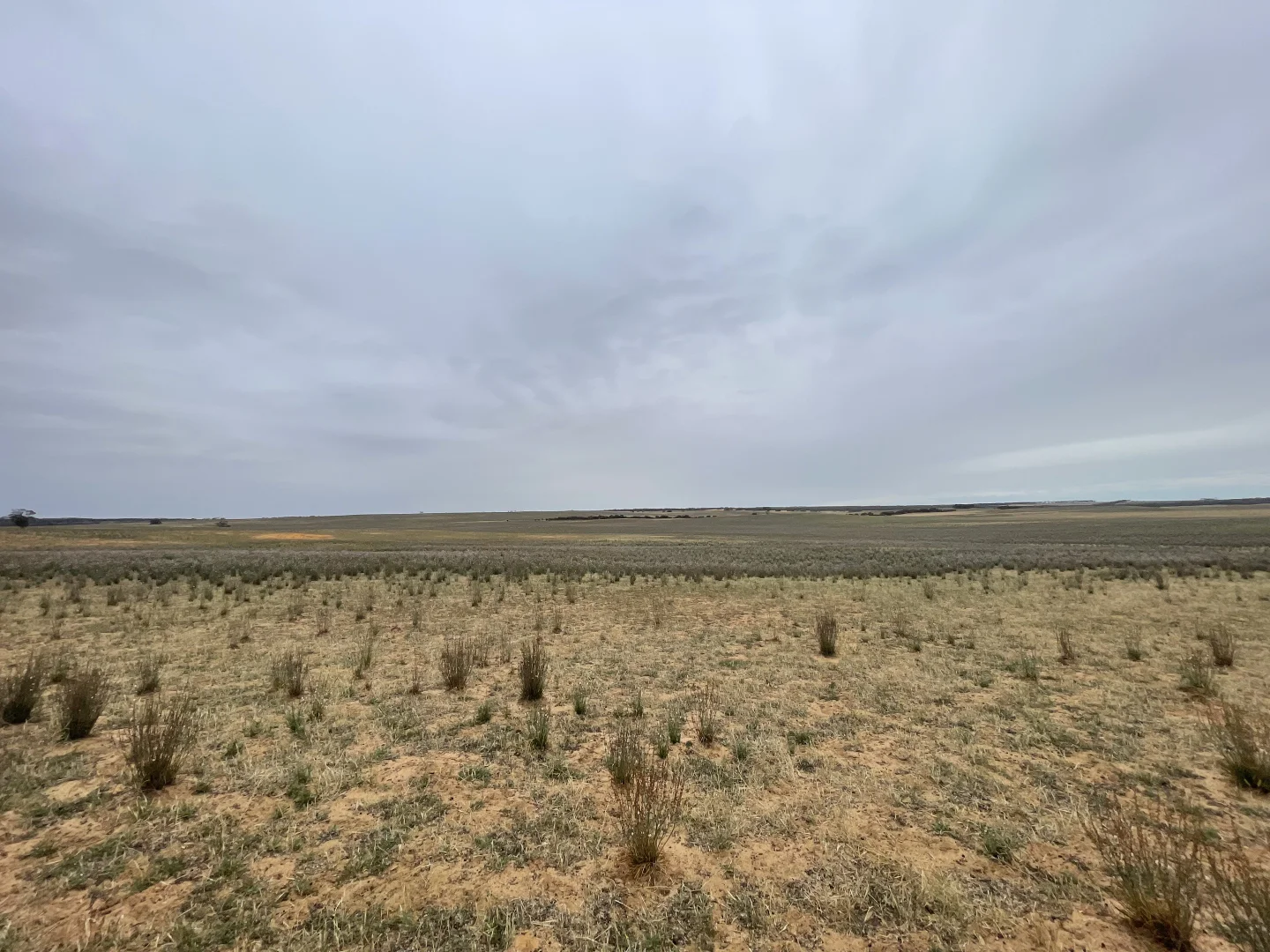 Additional image 17 of 2440 Black Hill Road, Black Hill SA 5353