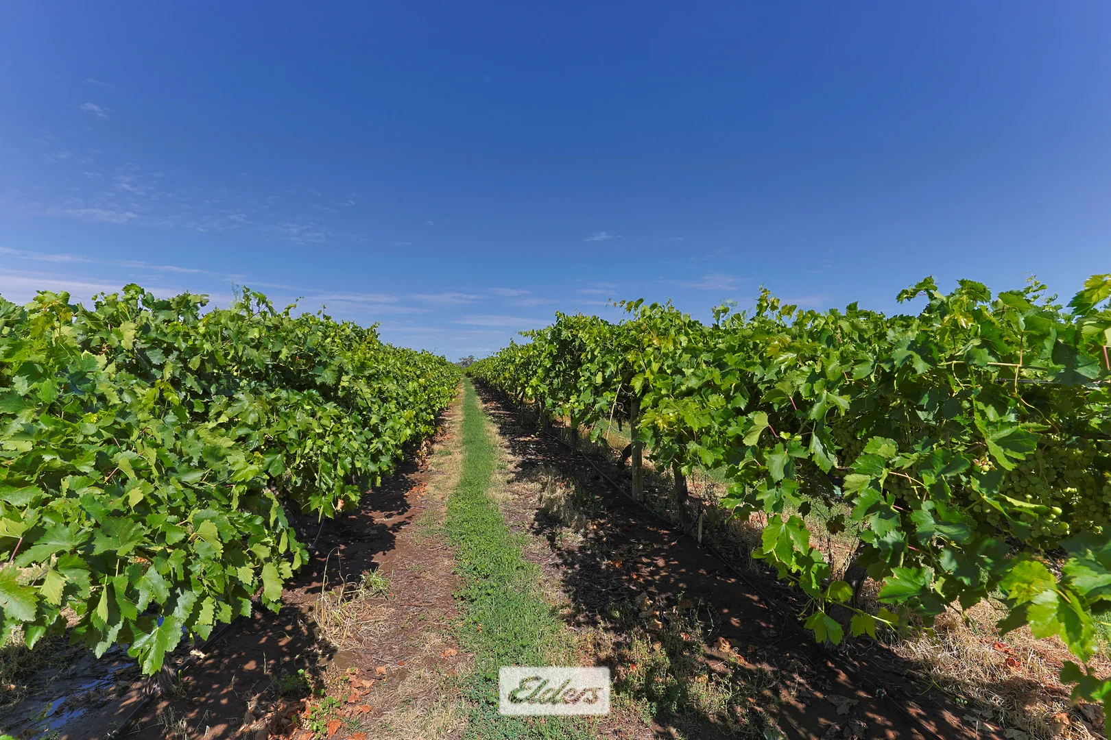 Additional image 23 of 388 Gol Gol North Road, Gol Gol NSW 2738