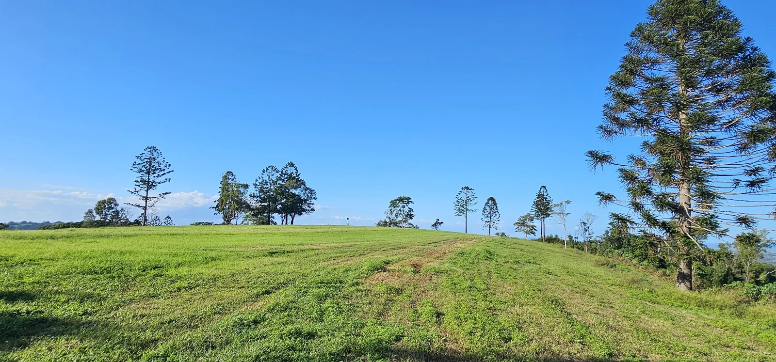 Additional image 19 of Dalwood NSW 2477
