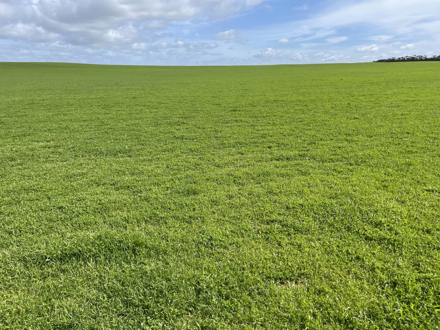 Additional image 14 of Lot/41 Skinner Road, Warramboo SA 5650