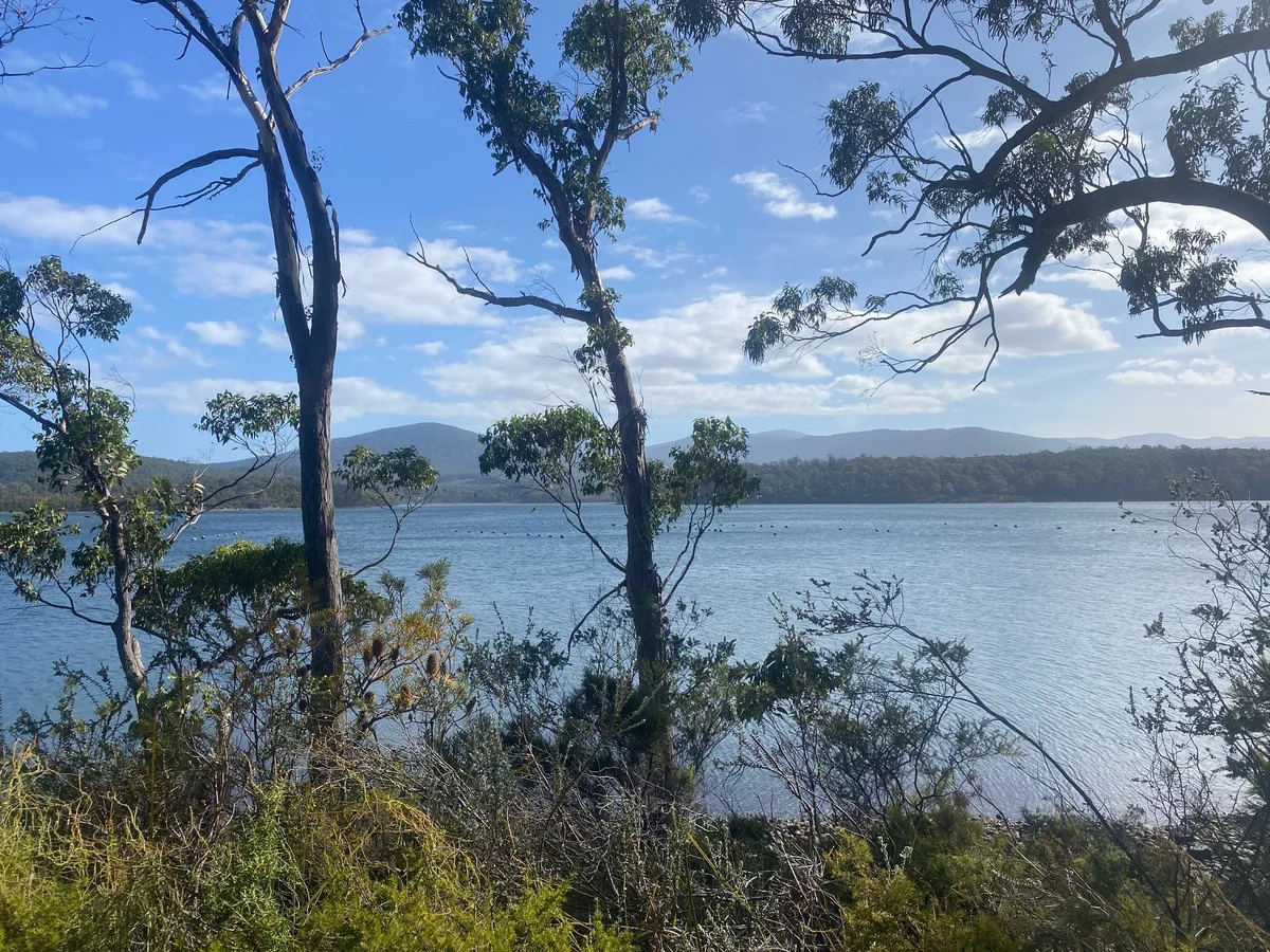 Additional image 4 of 1 Hastings Bay Esplanade, Hastings TAS 7109
