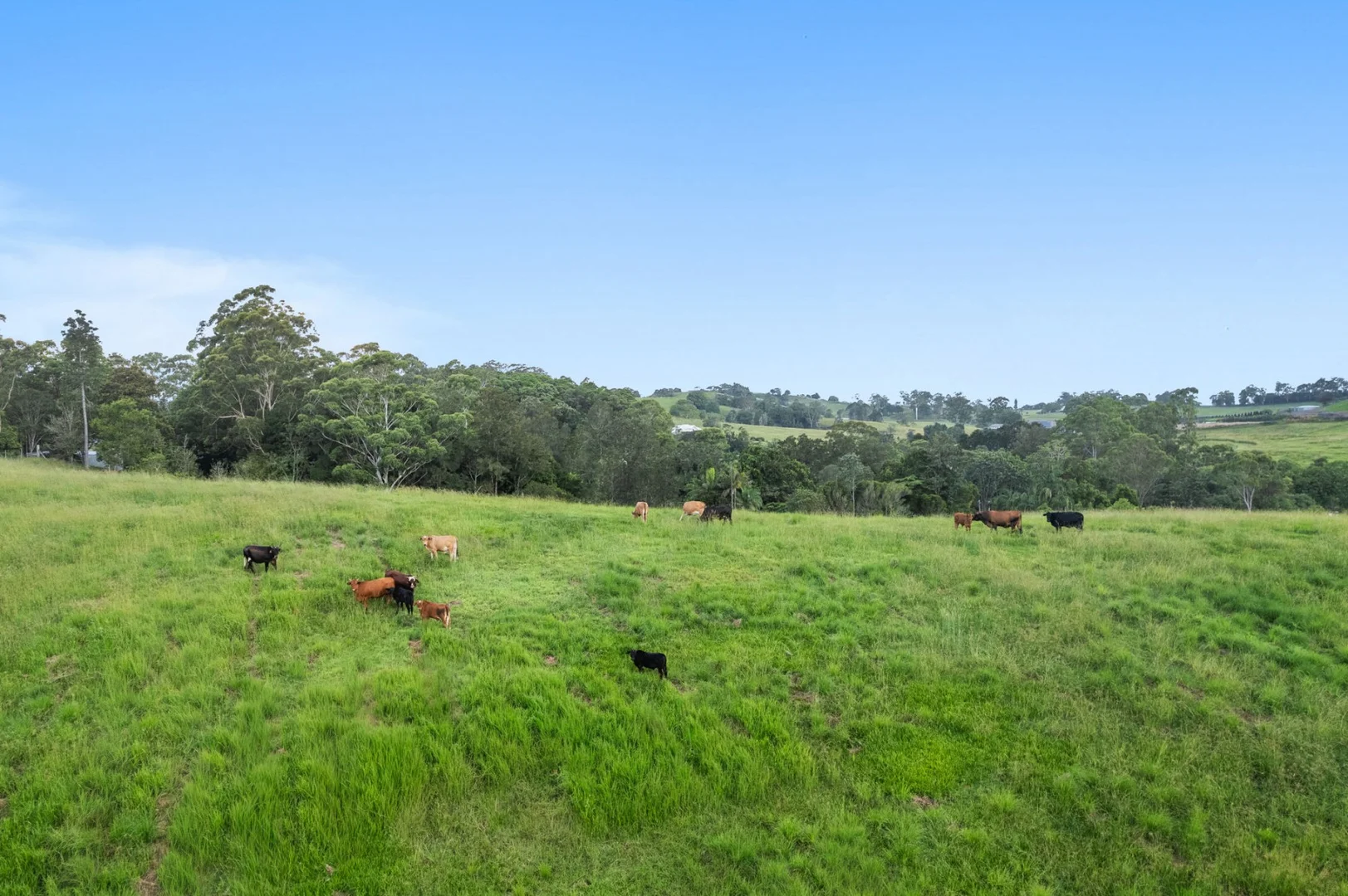 Additional image 21 of 56 Dulong School Road, Dulong QLD 4560