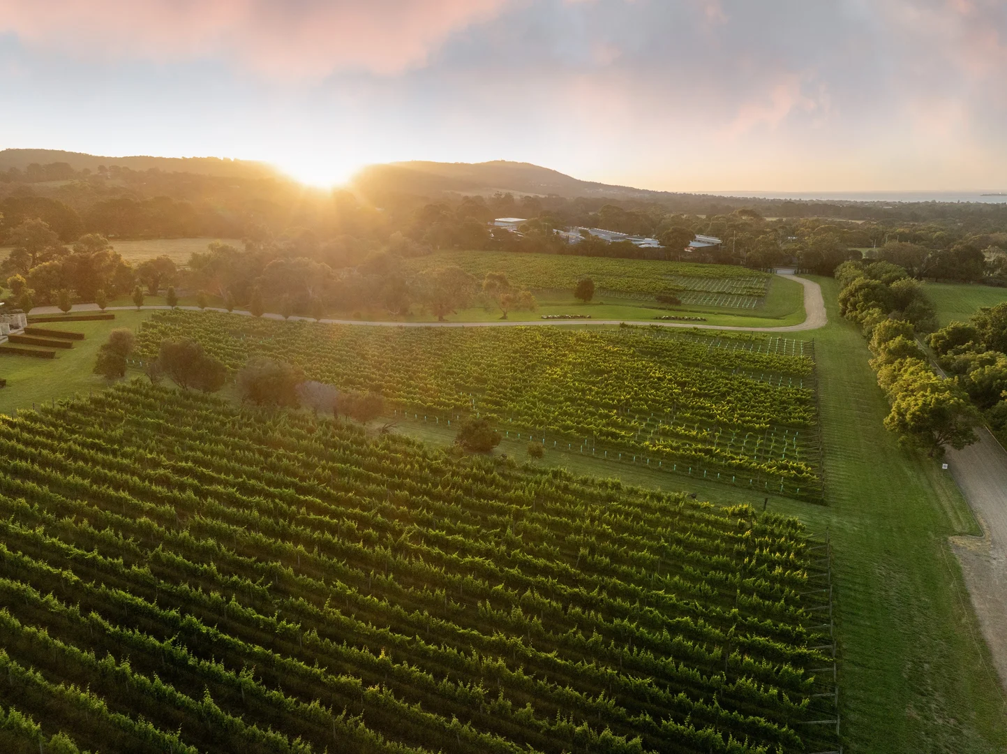 Additional image 38 of Harrisons Road, Dromana VIC 3936