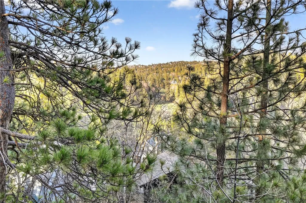 Additional image 54 of 26633 Thunderbird Dr, Lake Arrowhead, CA 92352