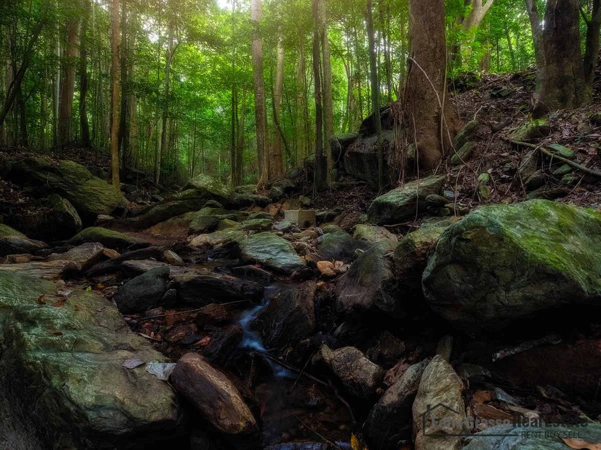 Additional image 15 of 31 Harvey Road, Redlynch QLD 4870