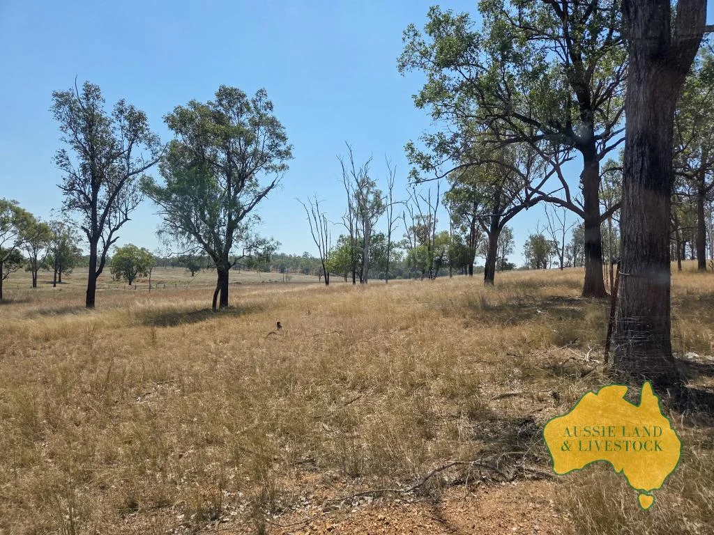 Additional image 27 of 110 BENHAMS ROAD, Mundubbera QLD 4626