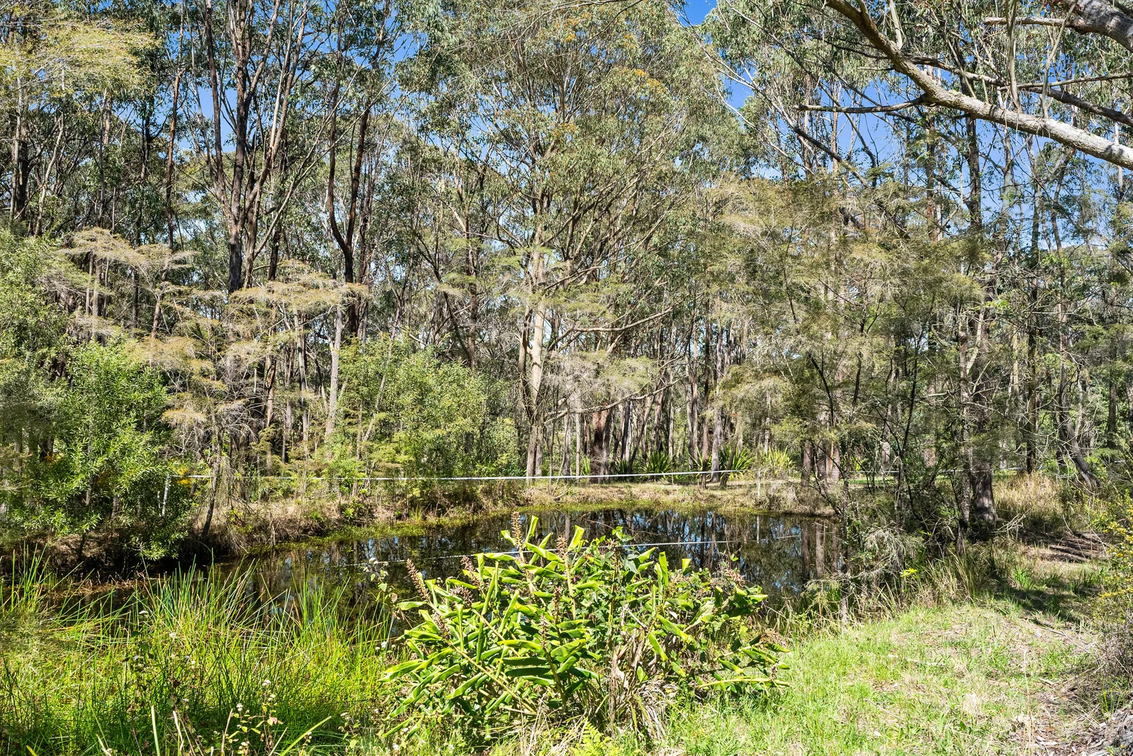 Additional image 18 of 241 Williams Road, Kulnura NSW 2250